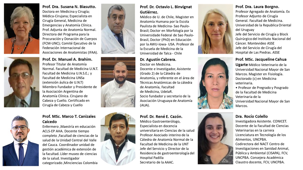 Diapositiva38